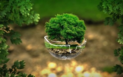 Zdjęcie do Nowy portal o tematyce ekologicznej Eko-Gniewkowo