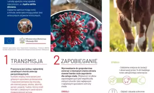 Pryszczyca u zwierząt hodowlanych - zachowaj  środki ostrożności