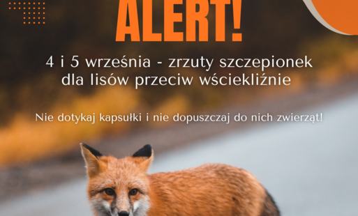 Zdjęcie do Zrzuty szczepionek dla lis&oacute;w przeciw wściekliźnie